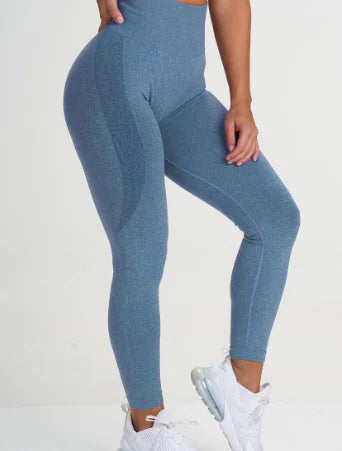 FitVeil Seamless Leggings