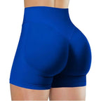 Sorra High-Waist Shorts